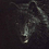 BlackWolf