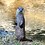 ElrayTheOtter