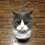 mable