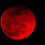 Moonflowerewolf